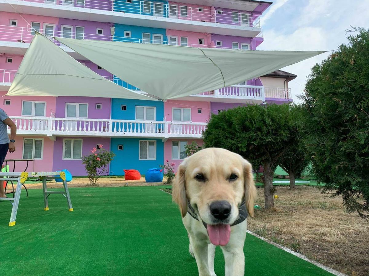 Casa Barbie Costinesti Hostel Eksteriør bilde
